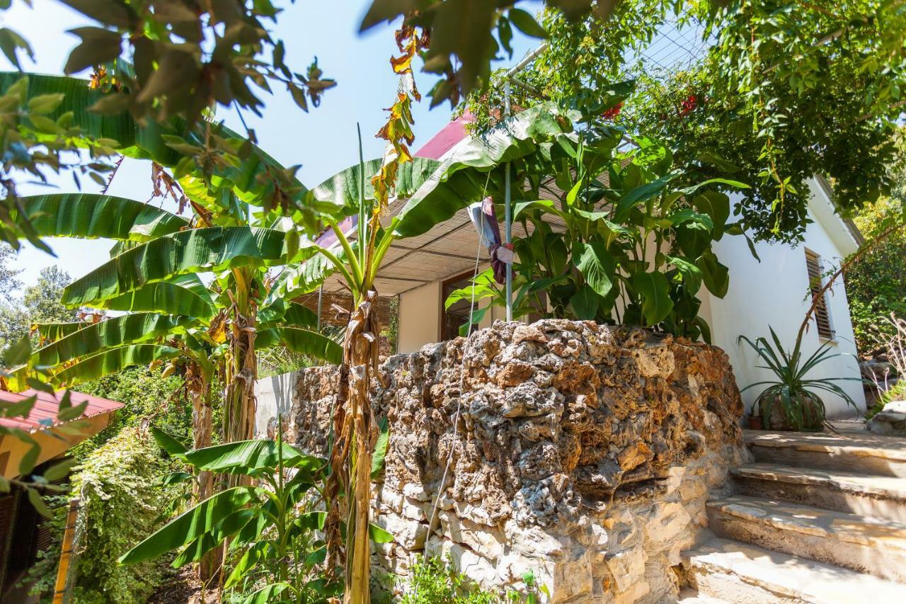 Relax Tiny Villas 40 Meters Of The Beach Zrnovo Bagian luar foto